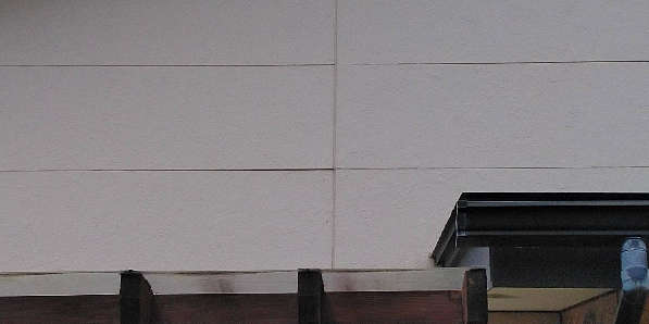 外壁・その他の症状